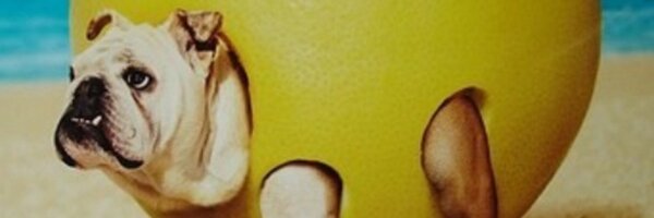 RemiQb Profile Banner