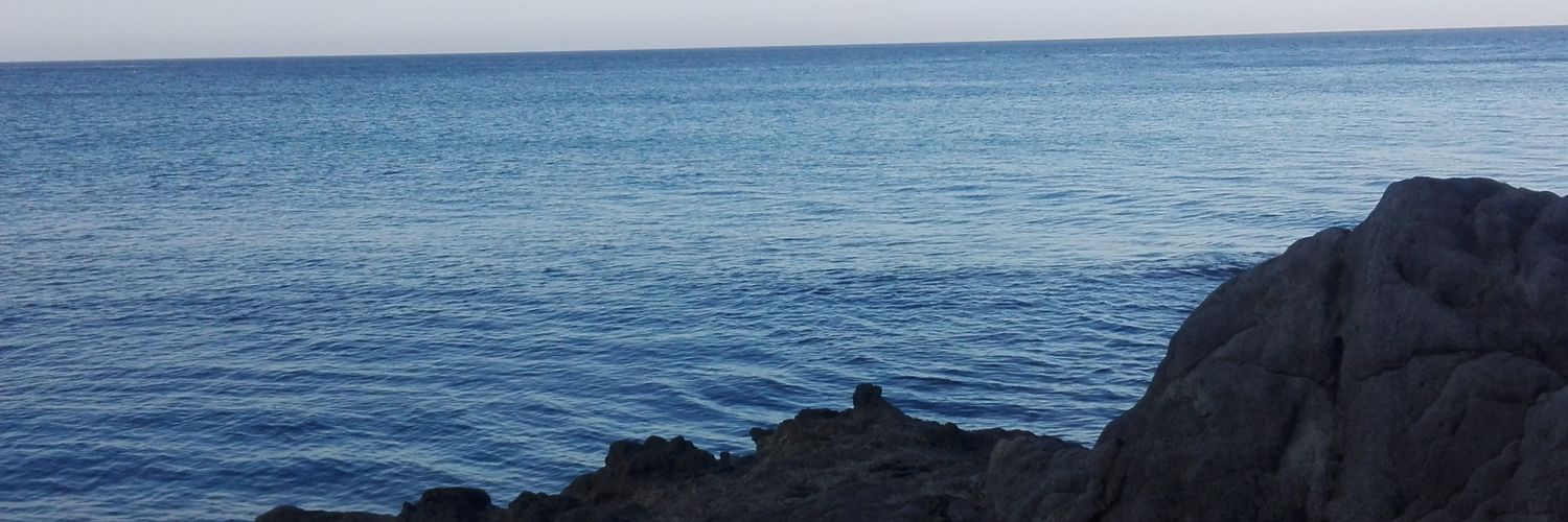 asanchezdelgado's profile banner image
