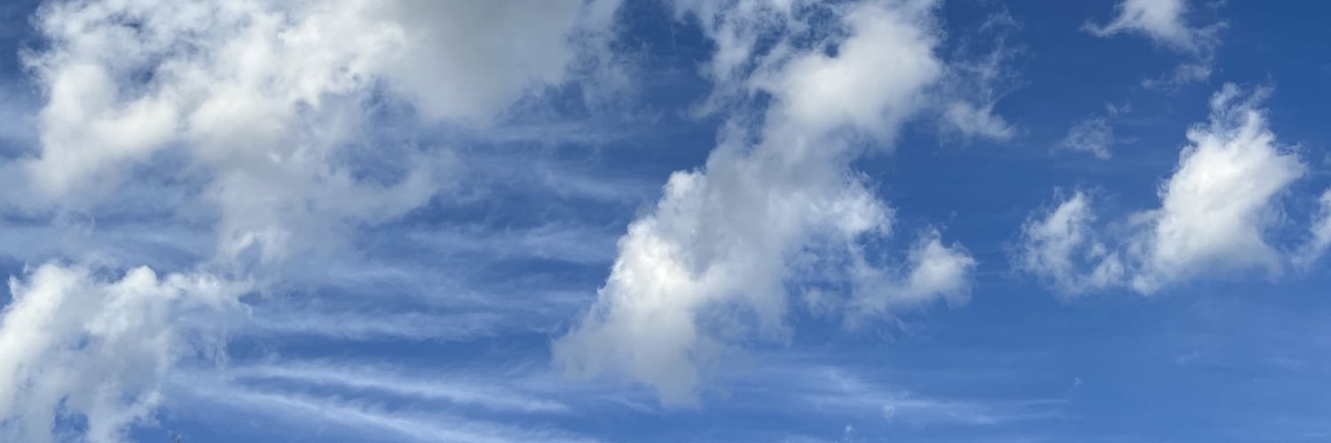 kmchanko's profile banner image