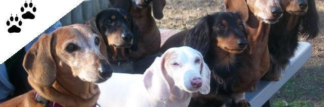 EdgarWiener's profile banner image