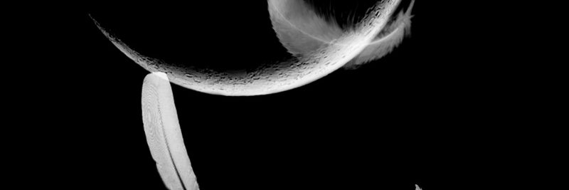 moralesadaly's profile banner image