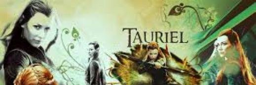 TMirkwood's profile banner image