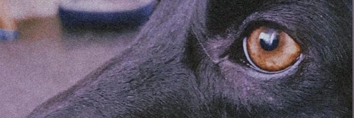 titinnnna's profile banner image