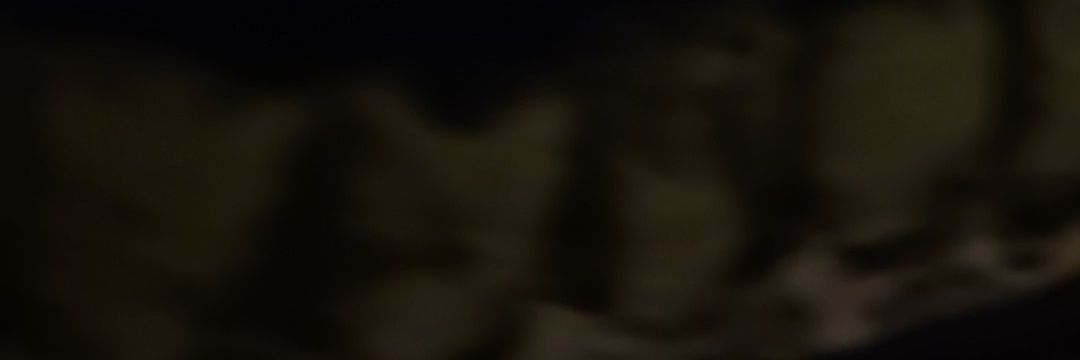 WalkerNation's profile banner image