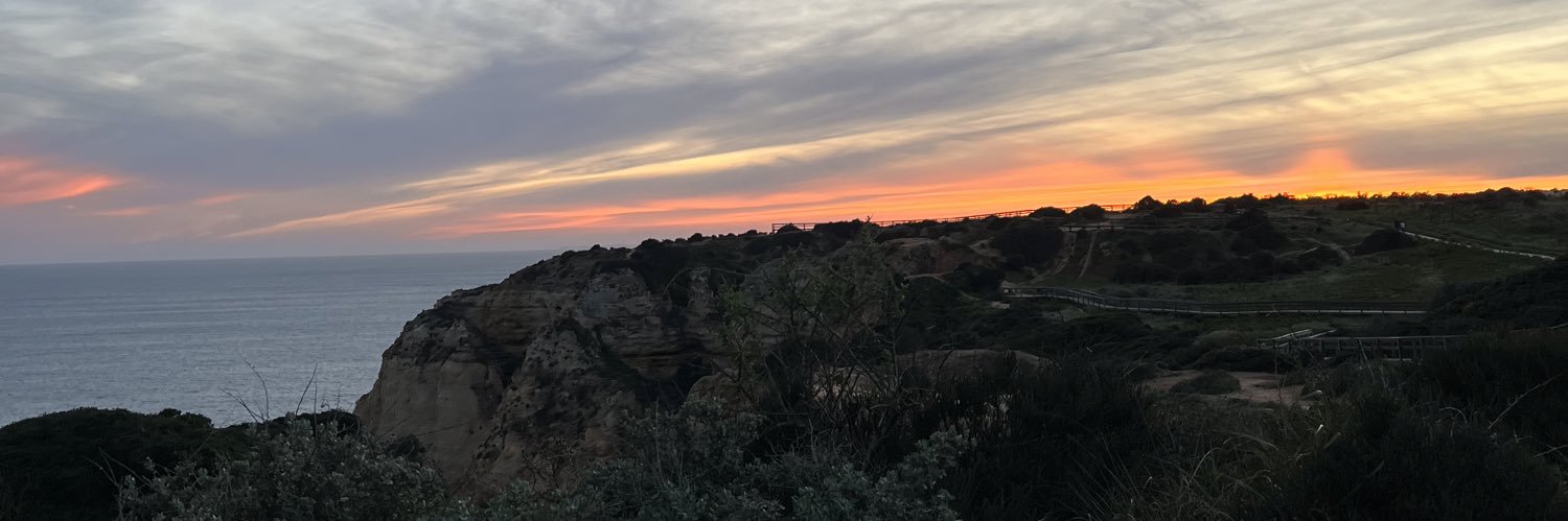 Benjamin Weiser banner