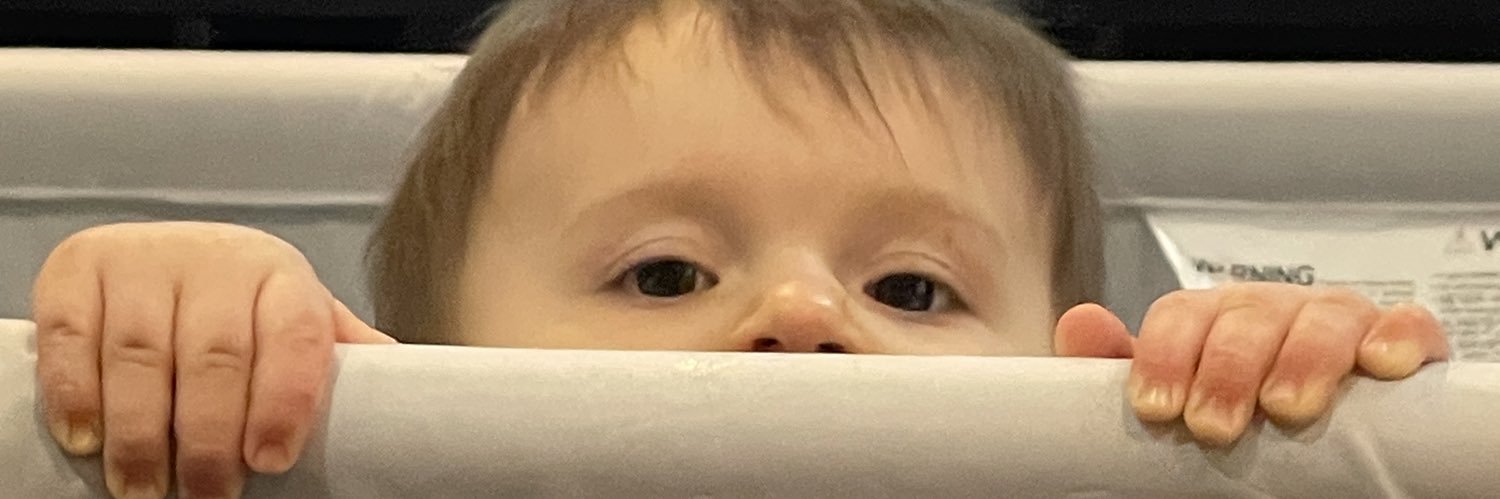 Erica Williamson banner