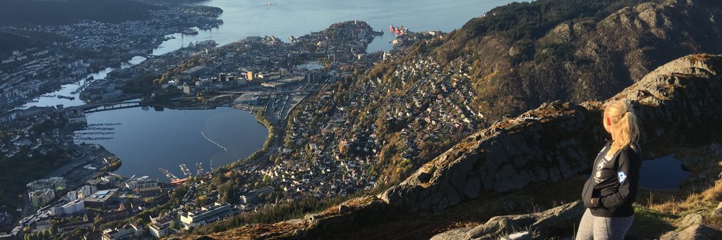 AneBaird's profile banner image