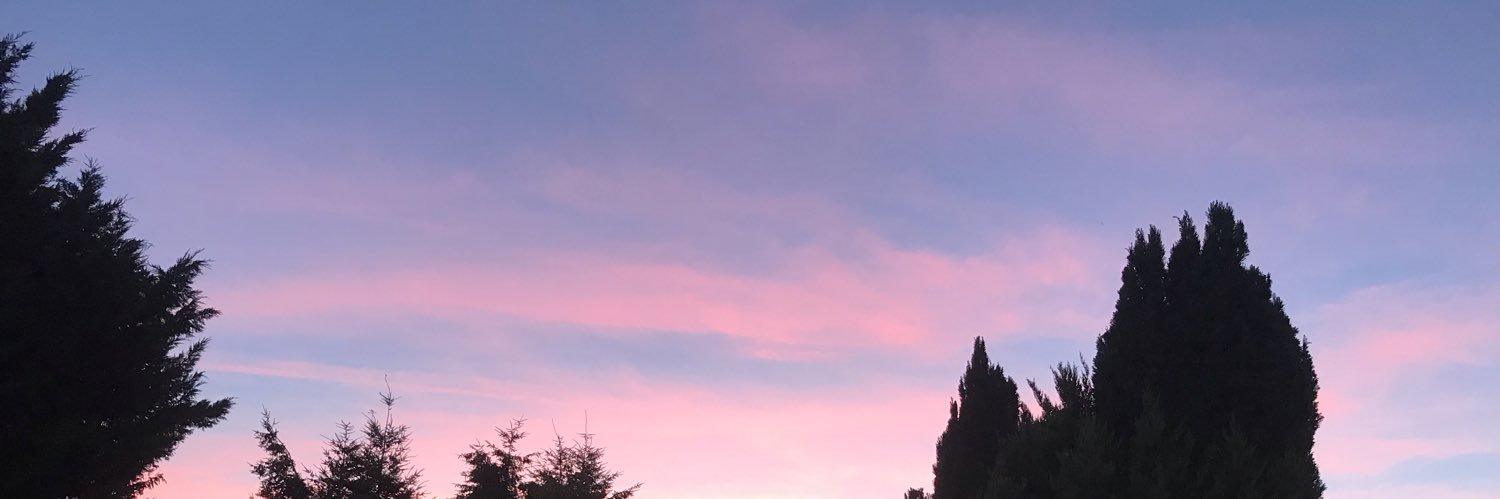 StacyMarre's profile banner image