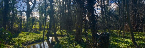 DuarteleoLeo Profile Banner