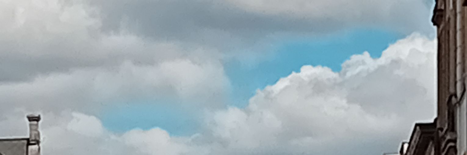 Mario Guglielmetti's banner