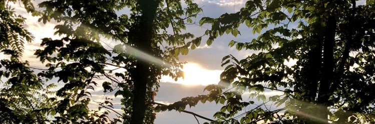 blakeefinley's profile banner image