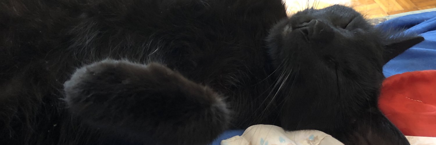 Fekete-Páris Viktor banner