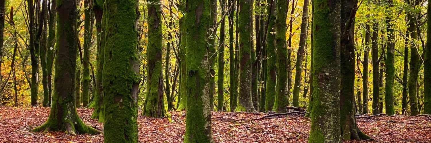 eddiemotion's profile banner image