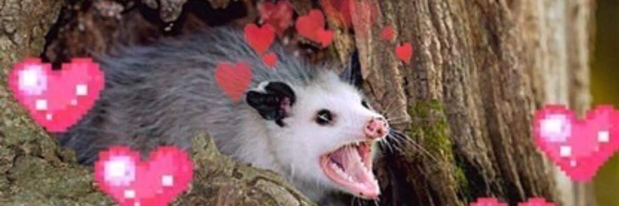opossum42's profile banner image