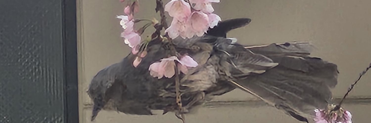 玖零(くれい) banner