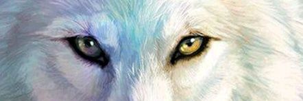 AguiarIvi's profile banner image