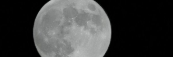 futurefused Profile Banner