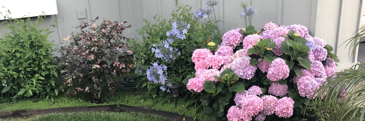 Justa_Jane's profile banner image