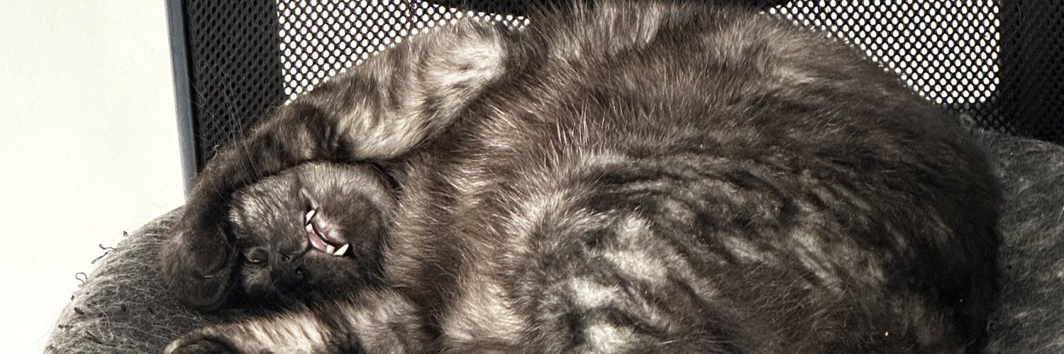 FedeAlesandro's profile banner image