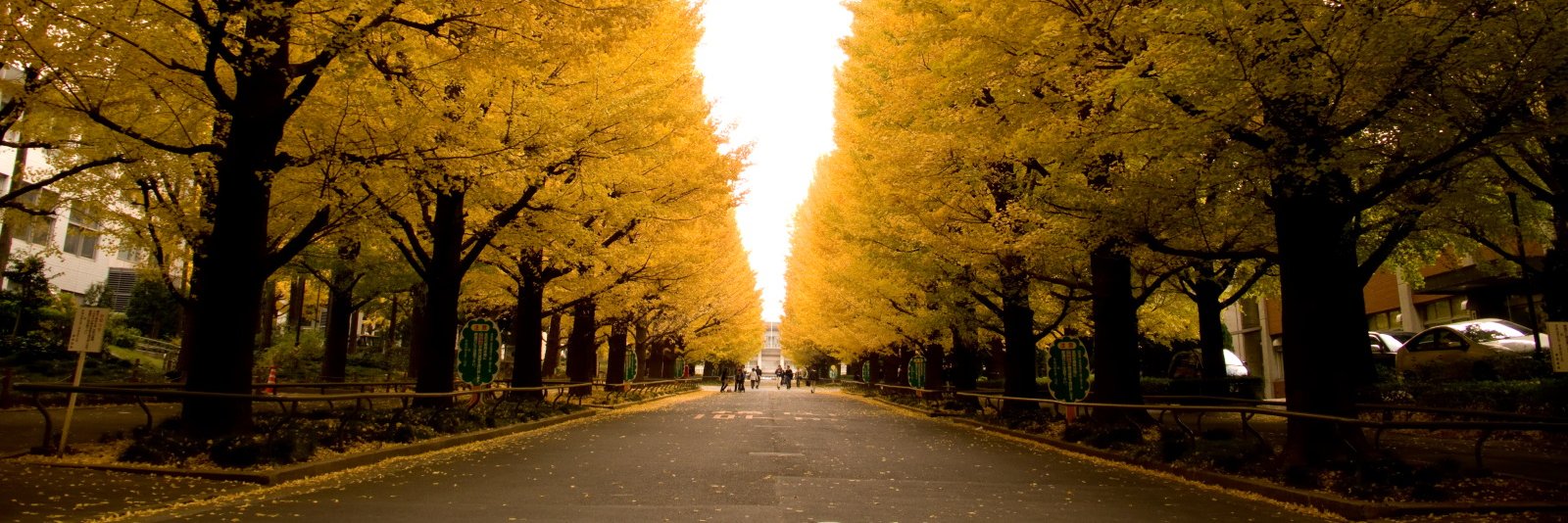 Keio_Circle's profile banner image