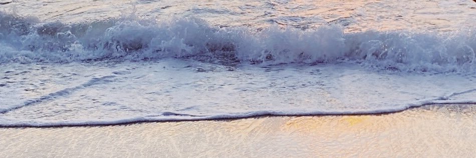 toritallberg's profile banner image