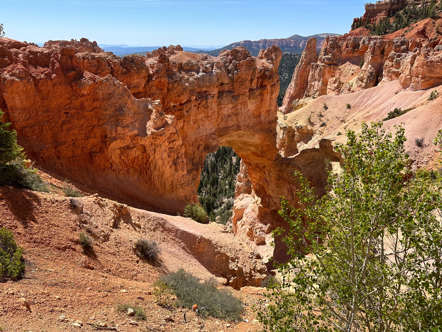 Tina Podlodowski 🇺🇸🇺🇦🏳️‍🌈🏳️‍⚧️ banner