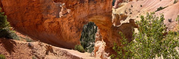 Tinapo Profile Banner