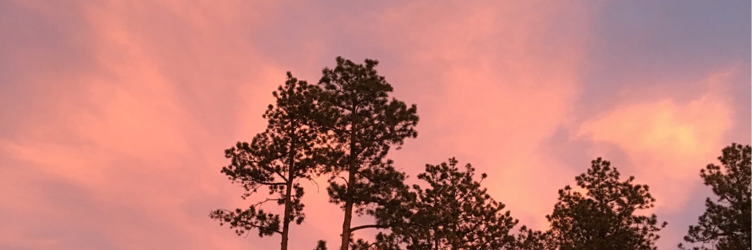 faith_piper's profile banner image