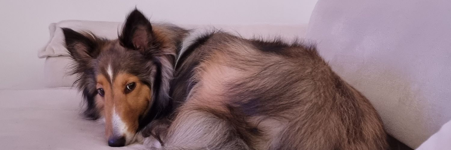 MendesCyro's profile banner image