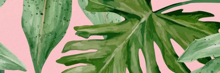 webbedfeets's profile banner image