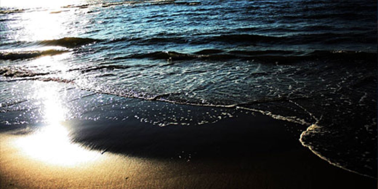 forest_heather's profile banner image