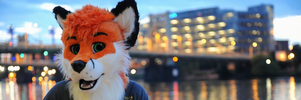 FoxDaJacky's profile banner image
