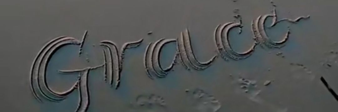 la_grasse100's profile banner image