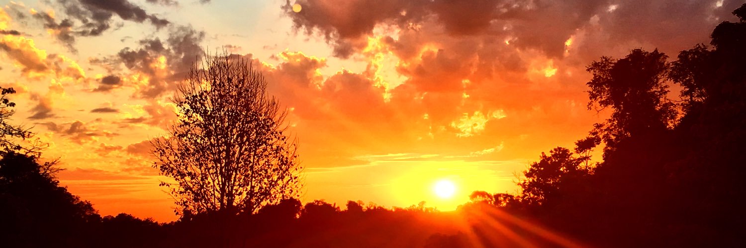 luanabott's profile banner image