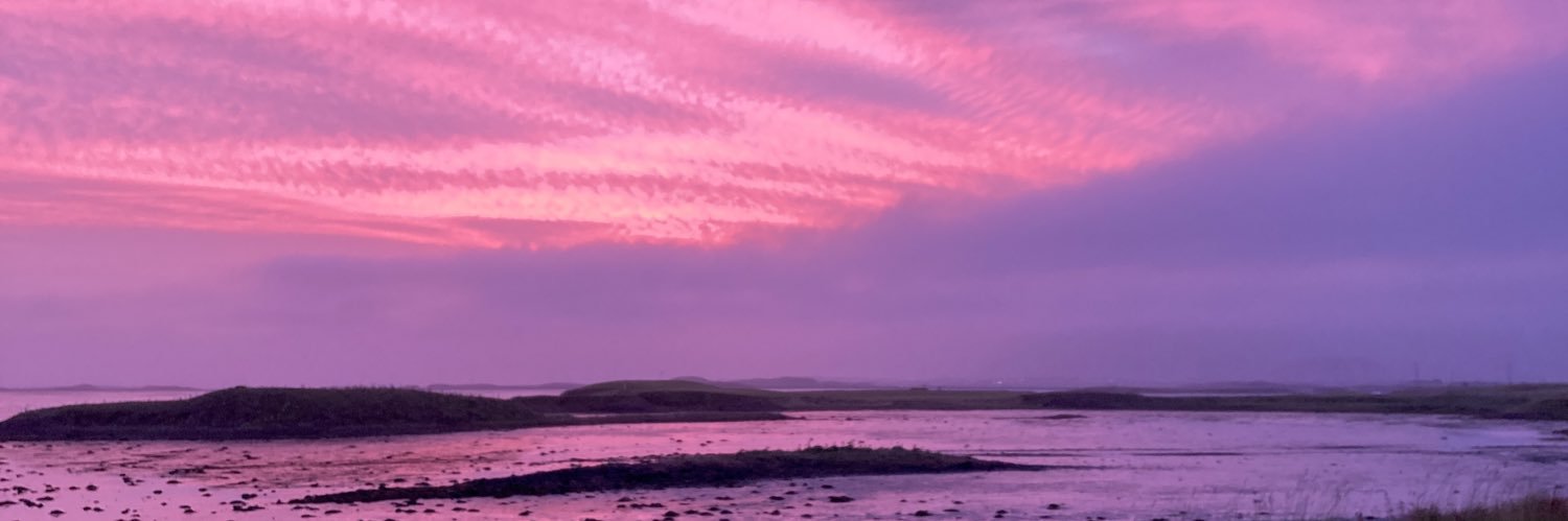 CCkerm's profile banner image