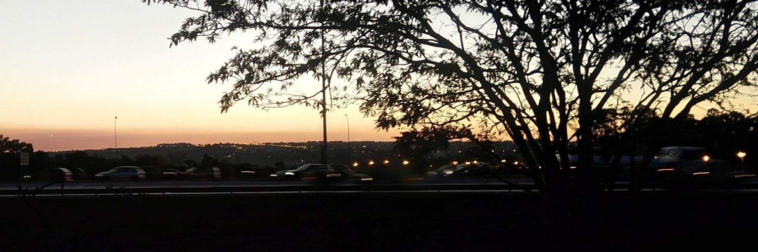 Aline de Assis banner