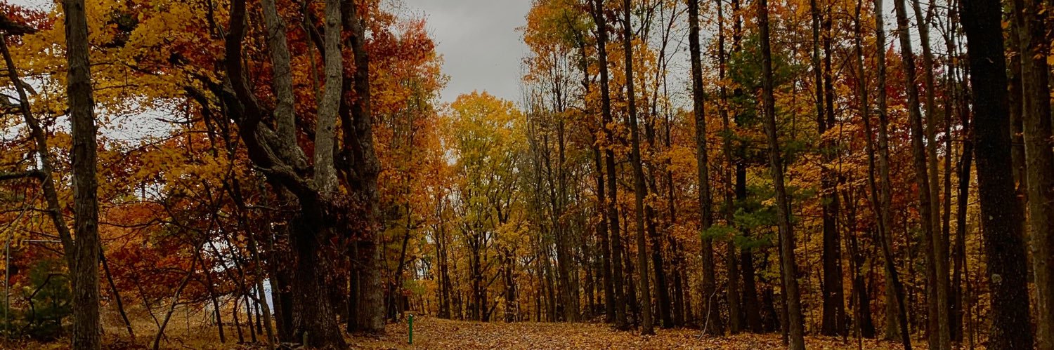 juliadig24's profile banner image
