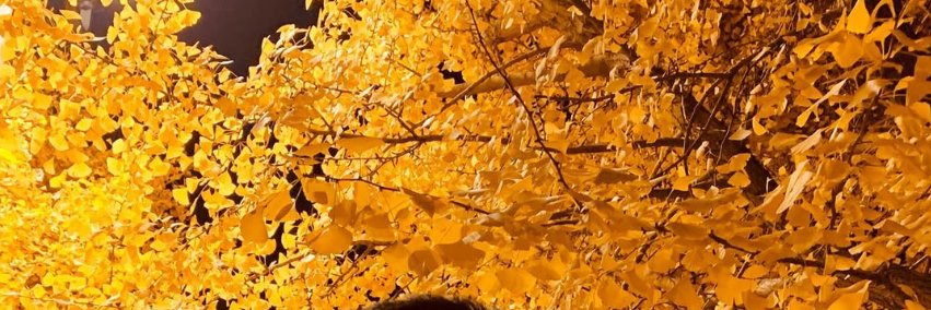 1004Achu's profile banner image