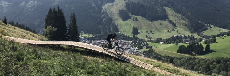 Harry Roberts, PhD banner