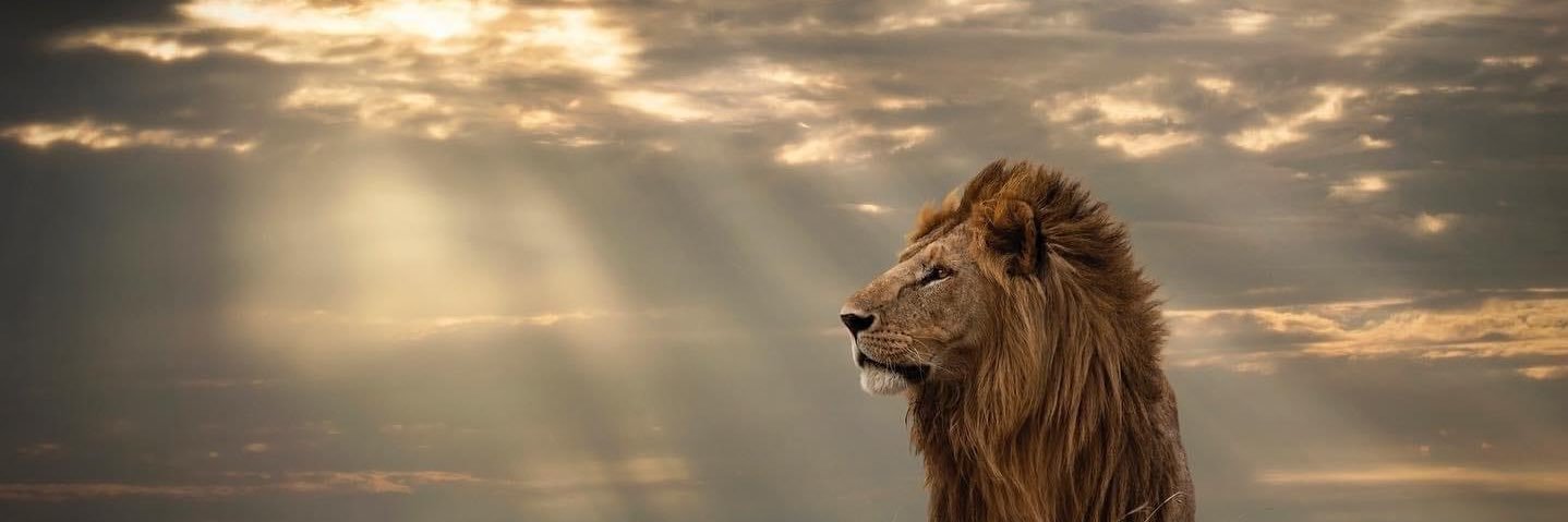 golfboyleb's profile banner image