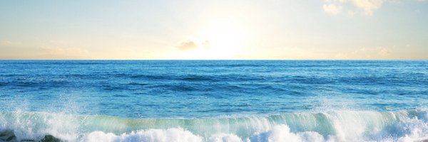 Tyharri Profile Banner