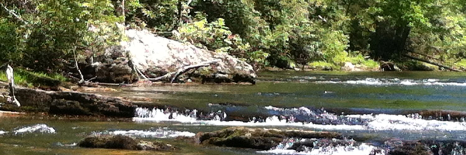 Scotty Hammett banner