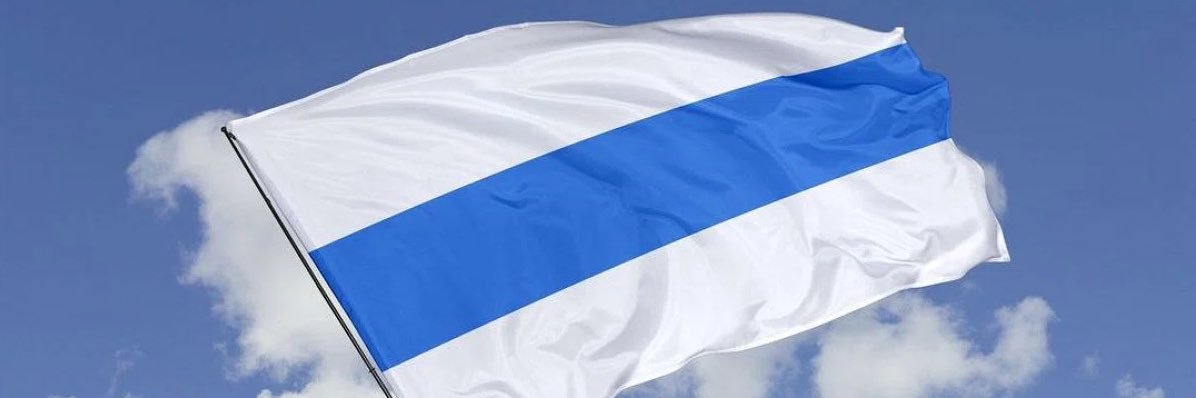 evilfox00's profile banner image