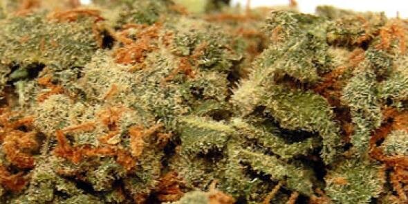 WERK420's profile banner image