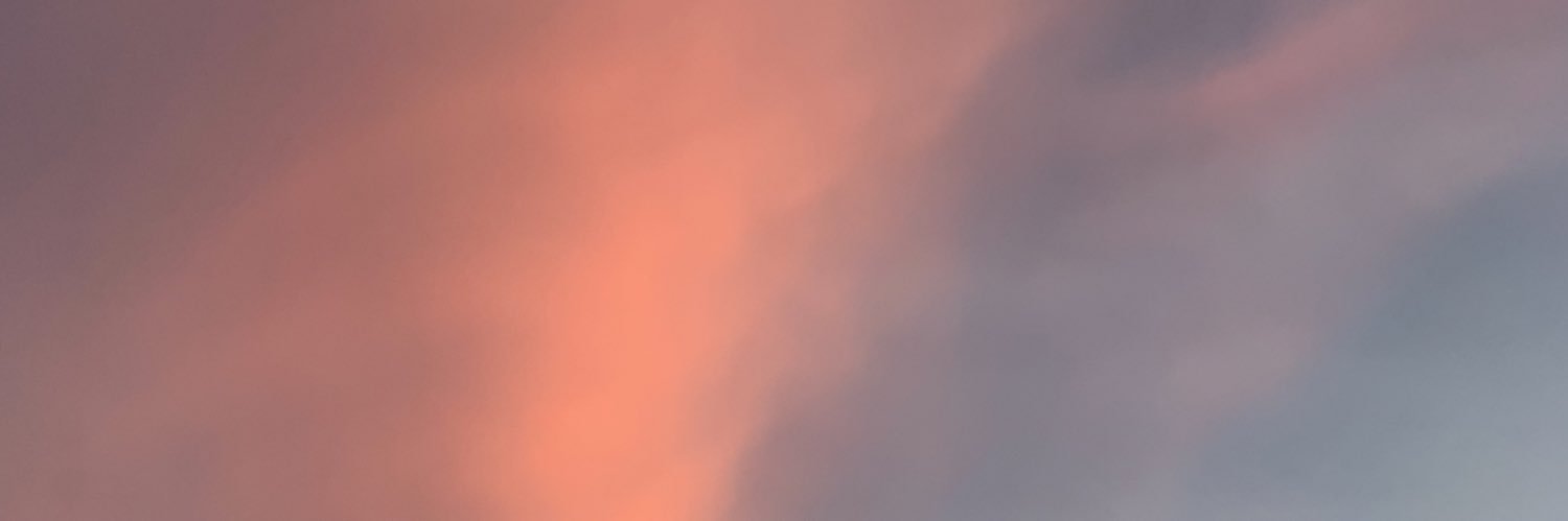 the blonde one banner
