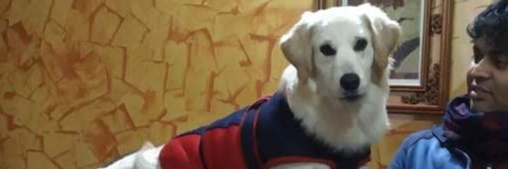 ProfRaviRanjan's profile banner image