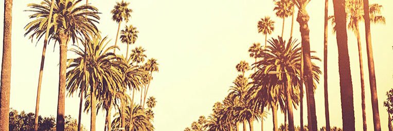 chlooeelouise's profile banner image