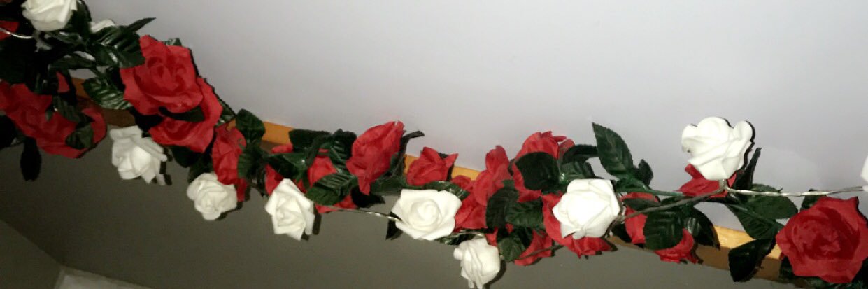 Natalie9117's profile banner image