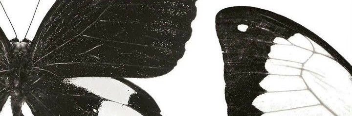 vayoub98's profile banner image
