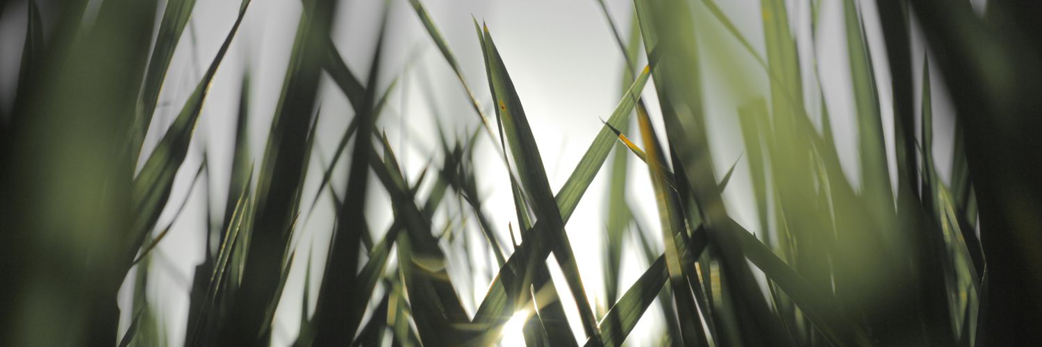 rrrynt's profile banner image